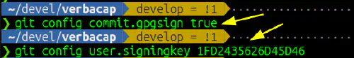 Git config